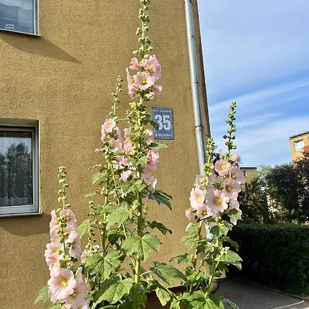 Agapella Apartamenty- Apartament Kraszewskiego Apartman Sopot